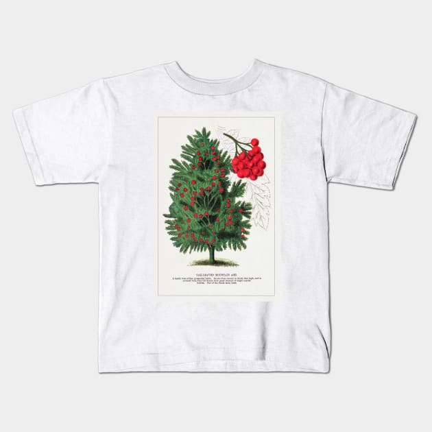 Mountain Ash tree lithograph (1900) Kids T-Shirt by WAITE-SMITH VINTAGE ART